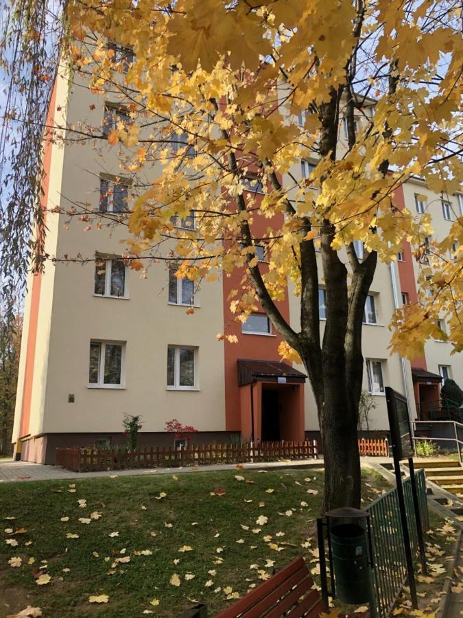 Apartment Krakowska *